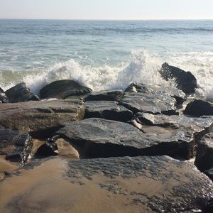 Meet your Posher, Celia